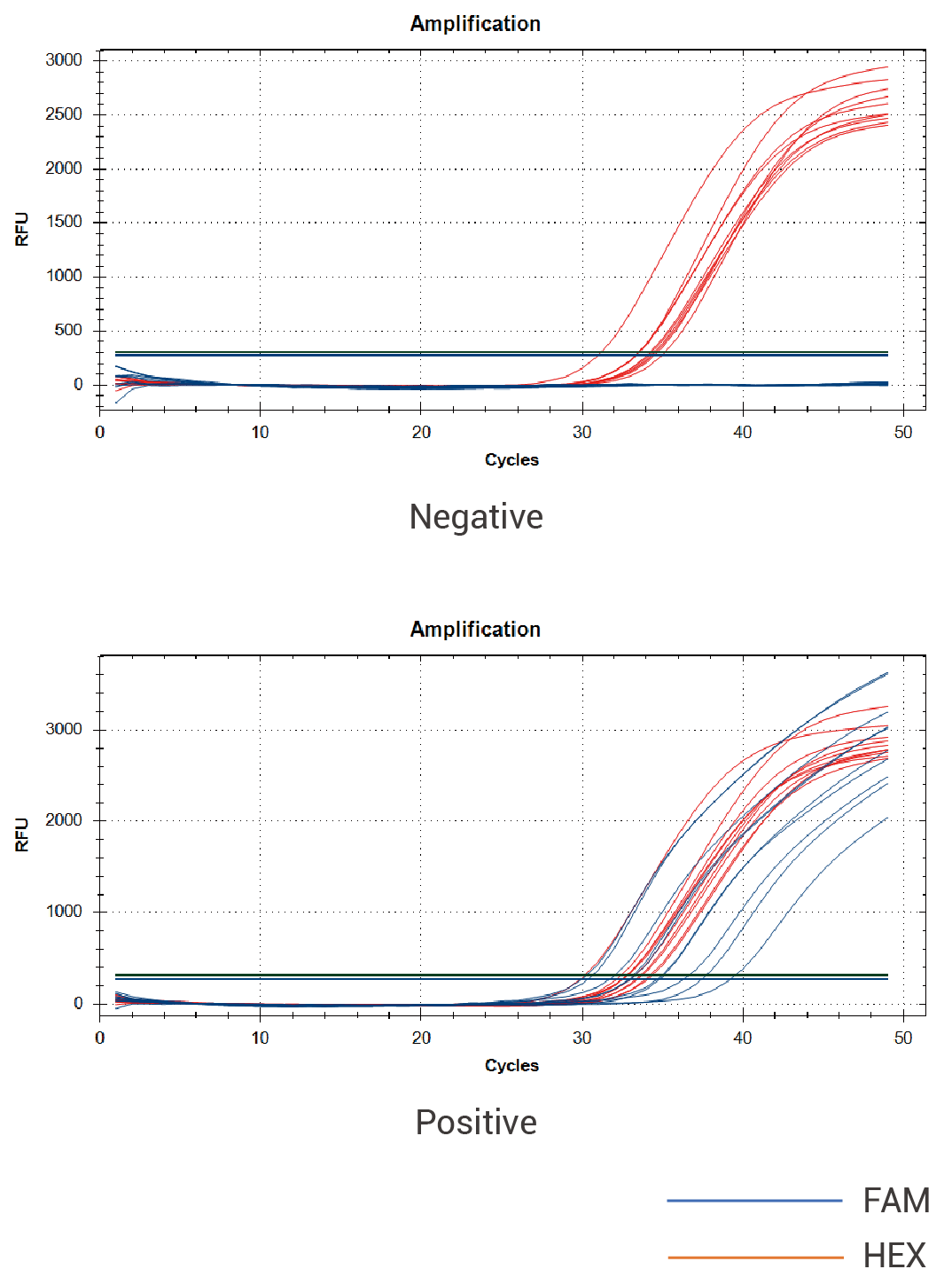 Mycoplasma DNA Detection Kit (qPCR)1.png