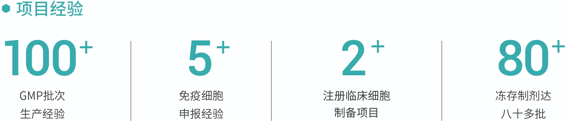 635216a6cdd87.webp
