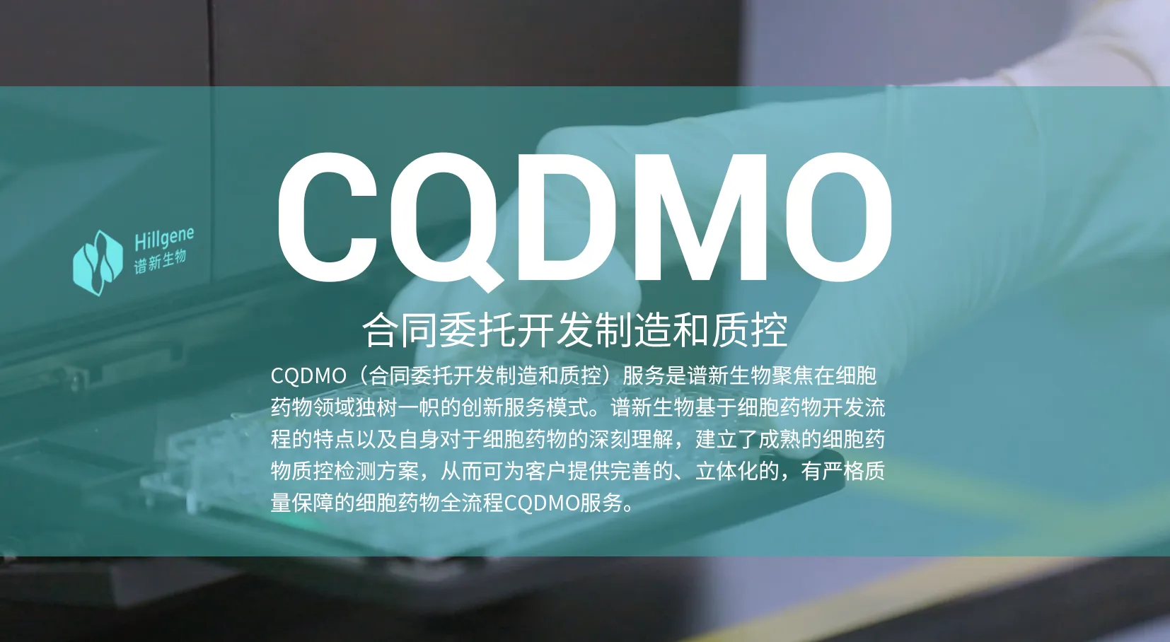 62a9f277bf44a.webp