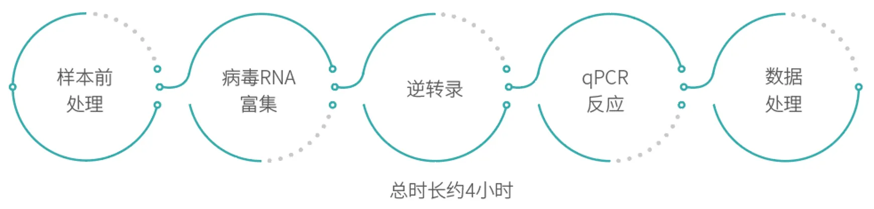67bd656c3d7f1.webp