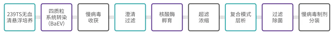 646adb97eeecf.webp