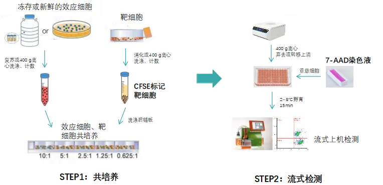 66d52b38b9347.webp