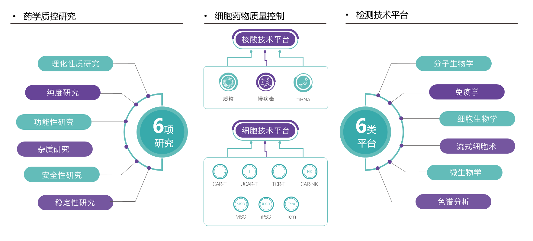 CNAS技术平台.png CNAS技术平台.png