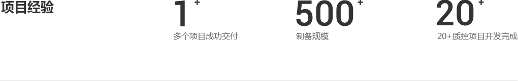 项目经验1