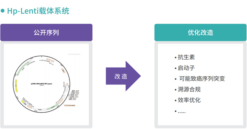 质粒.jpg