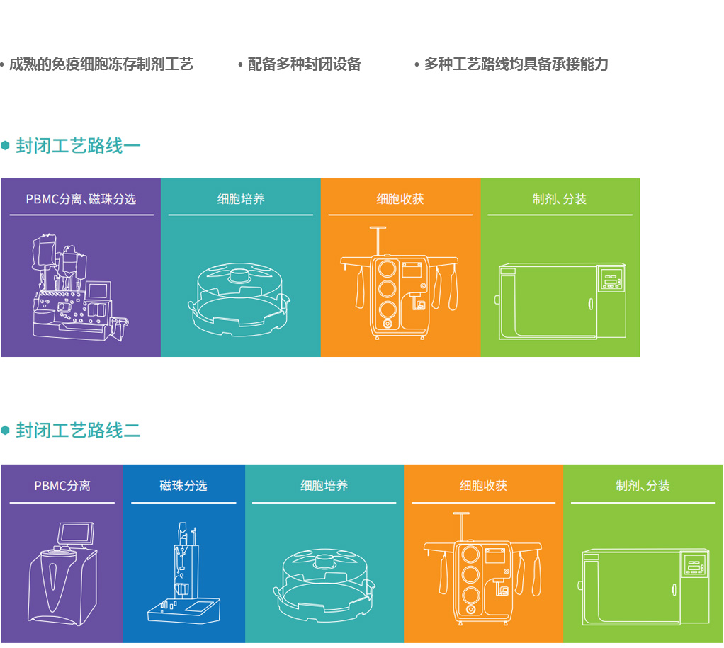 免疫细胞_2.jpg
