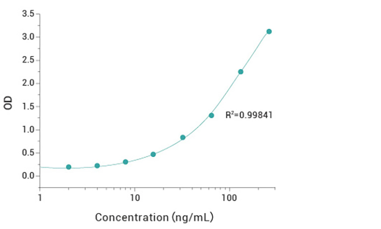 T7 RNA Polymerase ELISA  检测试剂盒说明书-1119-01.jpg