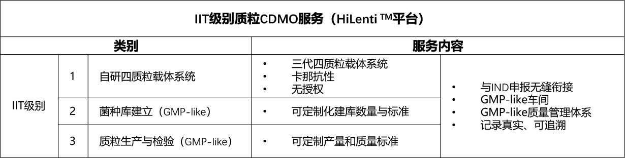 IIT级别质粒CDMO服务内容