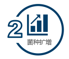 CDMO服务_2.png