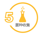 CDMO服务_5.png