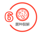 CDMO服务_6.png