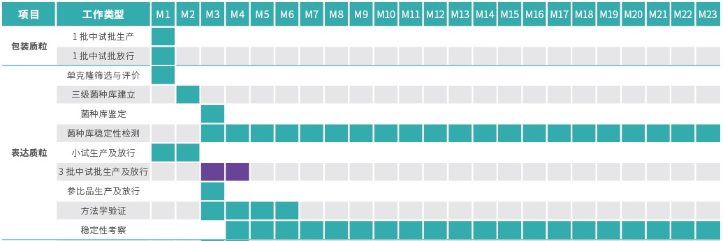 质粒CDMO服务-临床级别项目周期