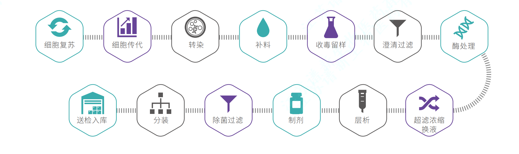 慢病毒CDMO服务-IIT级别生产流程