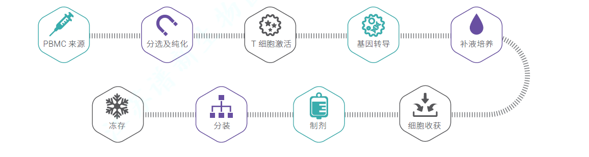 TCR-T细胞CDMO服务-IND级别生产流程