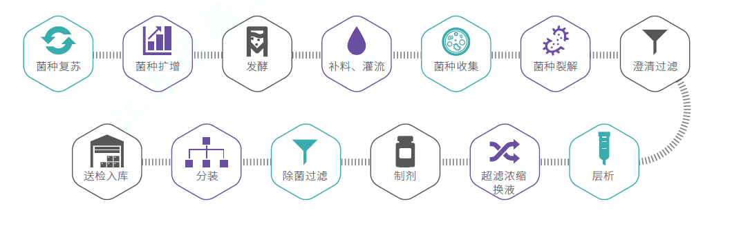 质粒CDMO服务-IIT级别生产流程