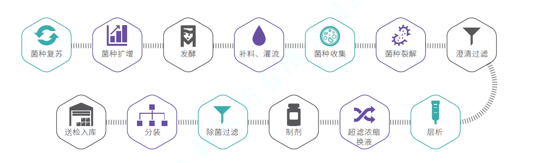 质粒CDMO服务-商业化生产级别生产流程