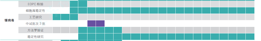 慢病毒CDMO服务-临床级别项目周期