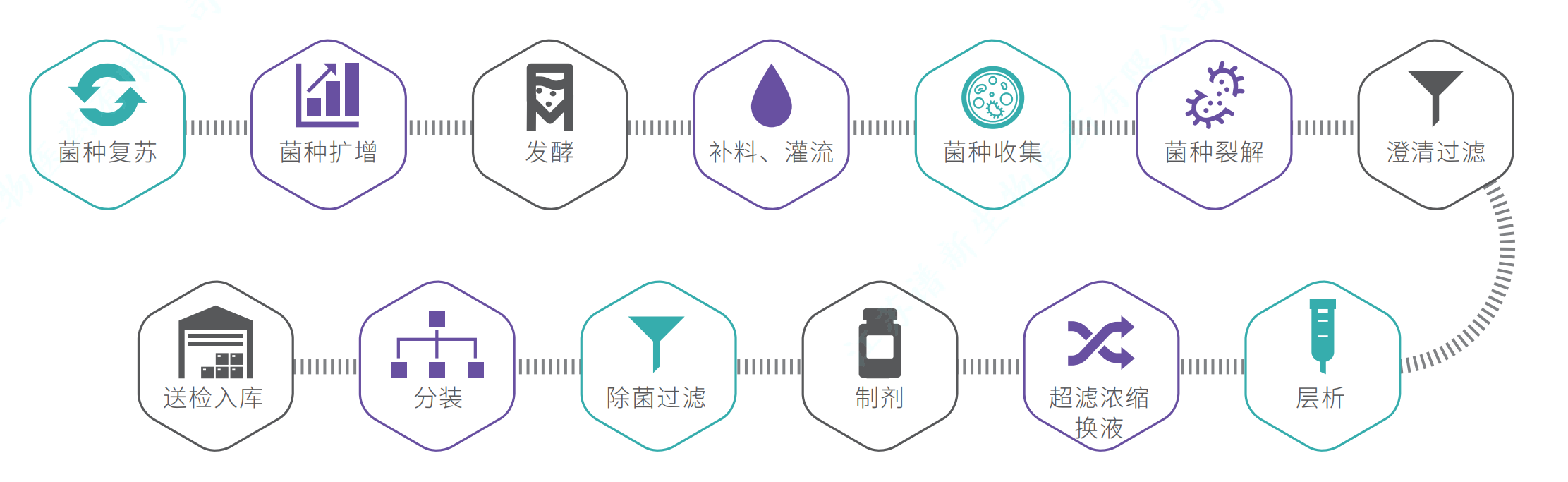 质粒CDMO服务-IIT级别生产流程