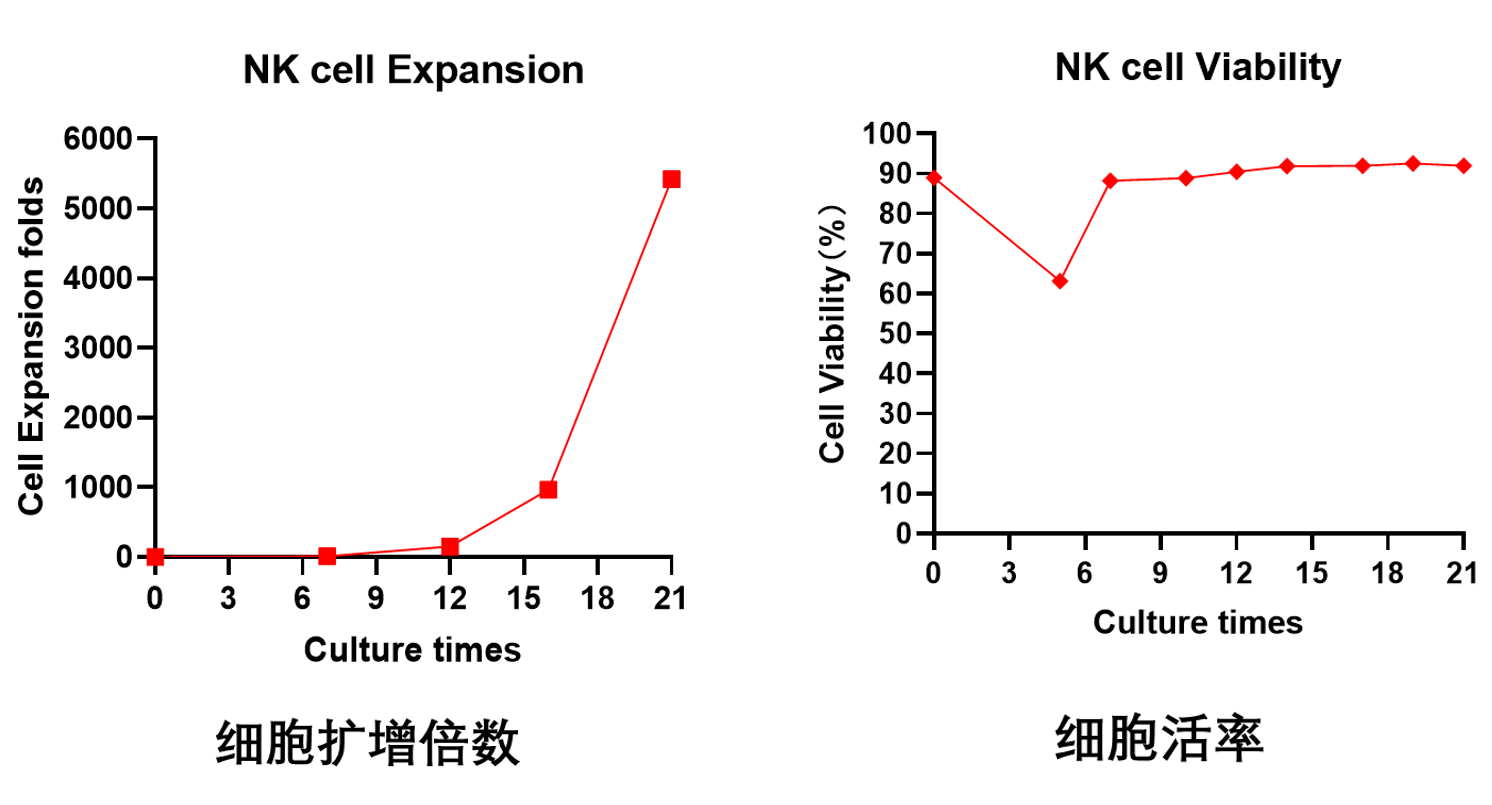 6-2。1.png