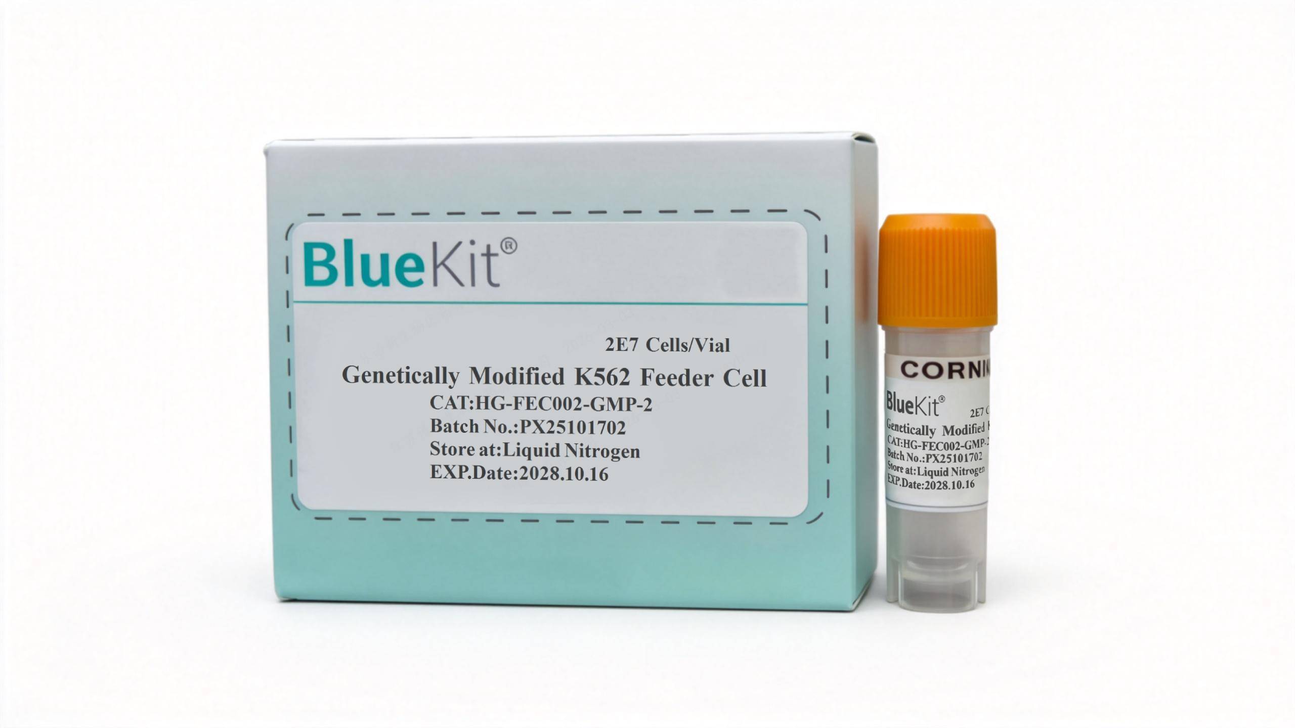 基因改造的K562滋养层细胞